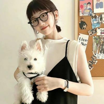 小查与寇弟的顶级冒险